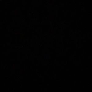 Meet your Posher, Paige